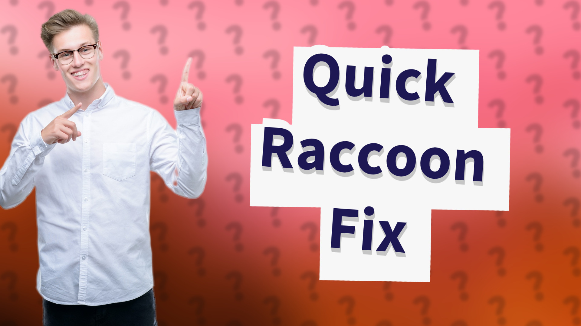 Quick Raccoon Fix
