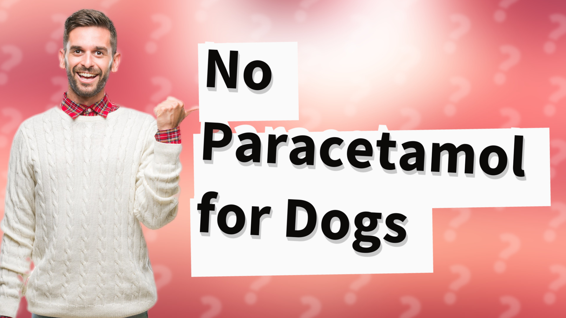 No Paracetamol for Dogs