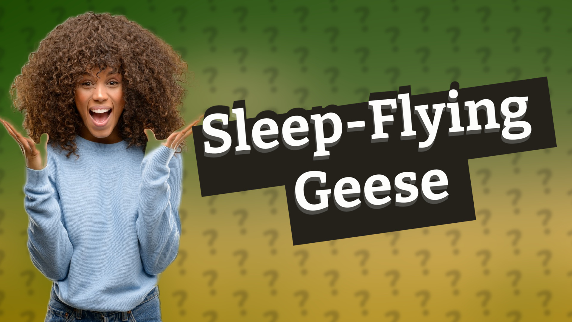 Sleep-Flying Geese