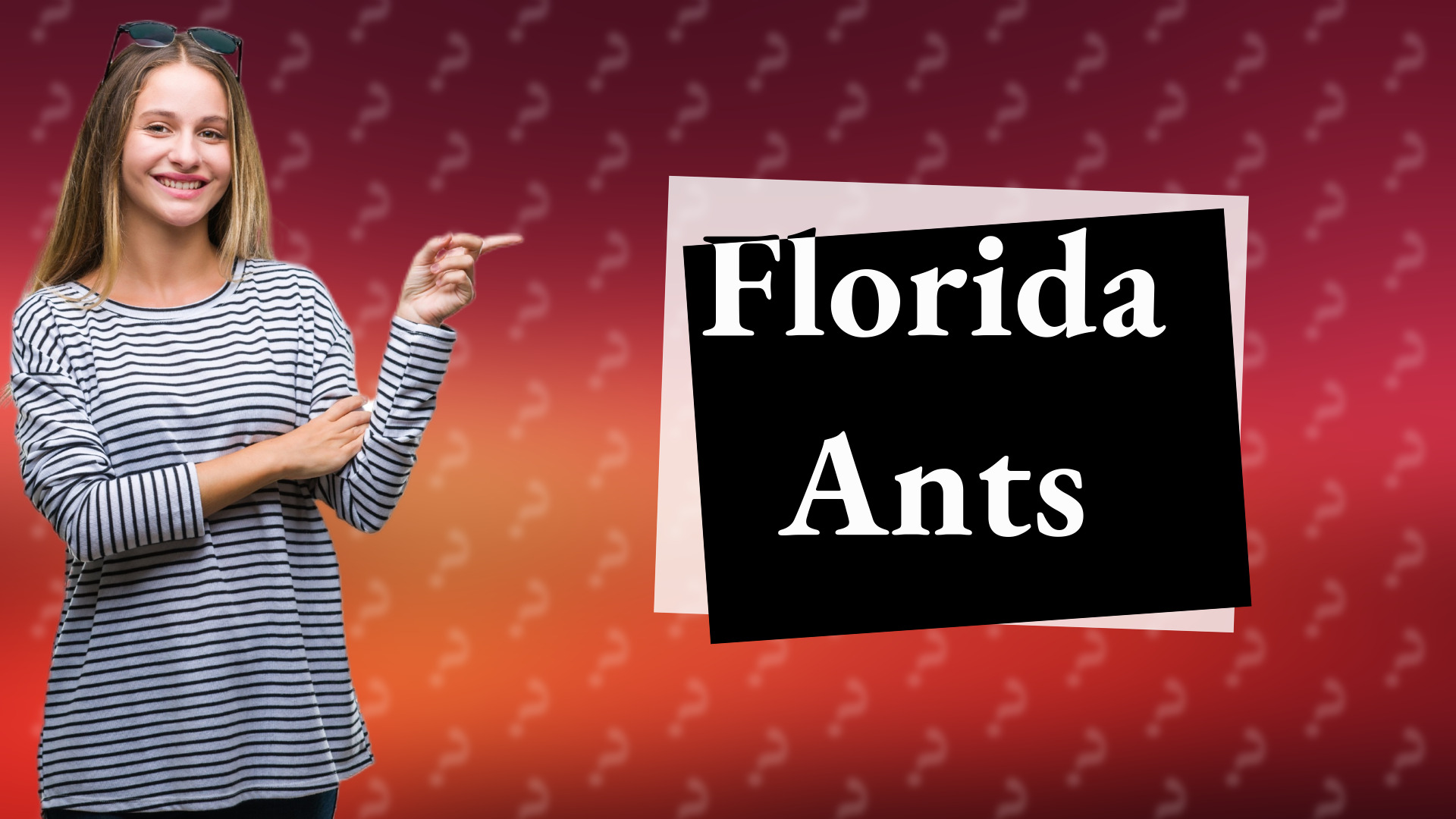 Florida Ants