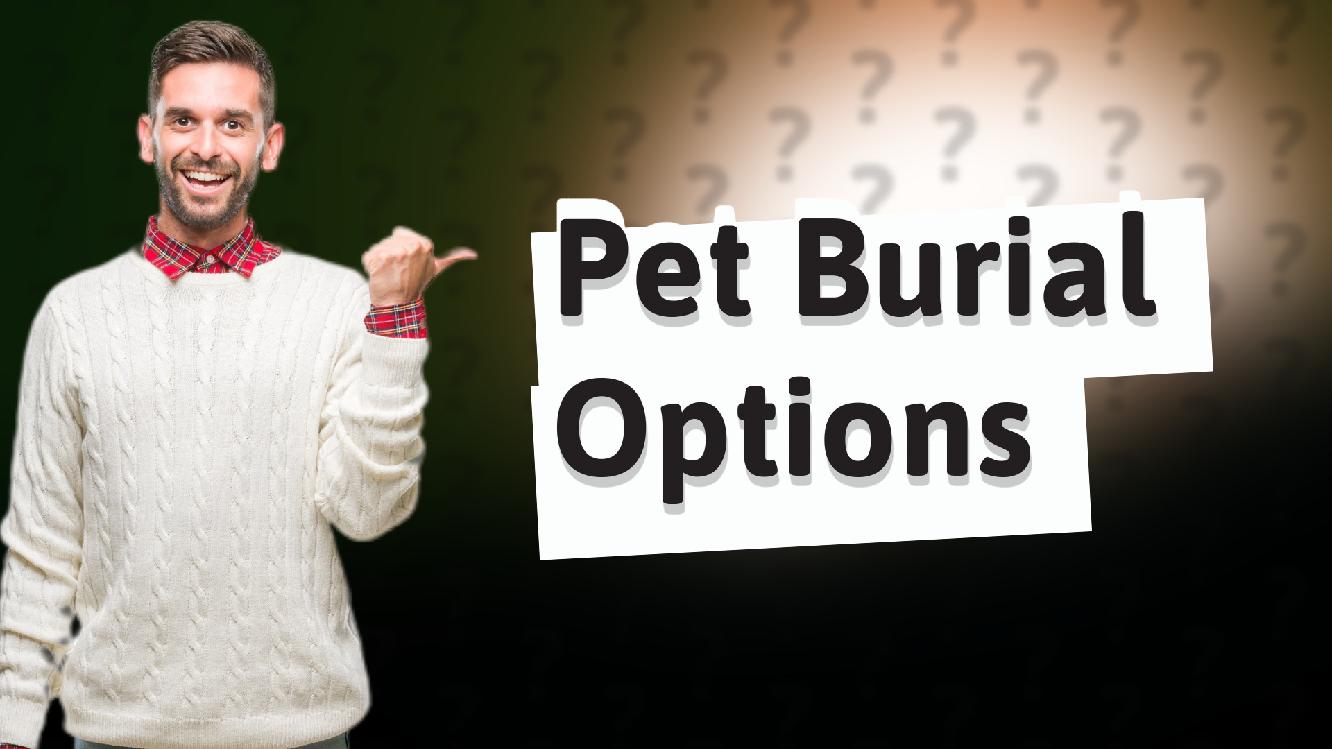 Pet Burial Options