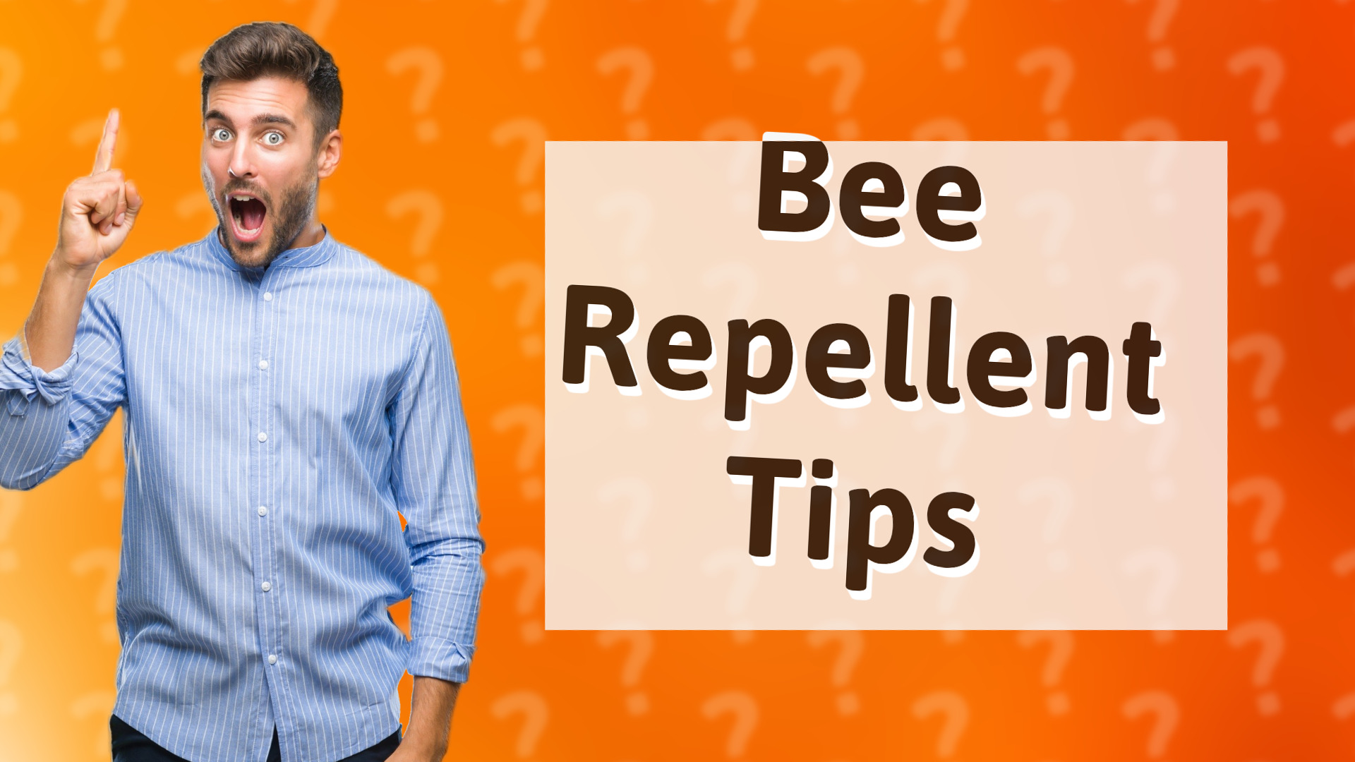 Bee Repellent Tips