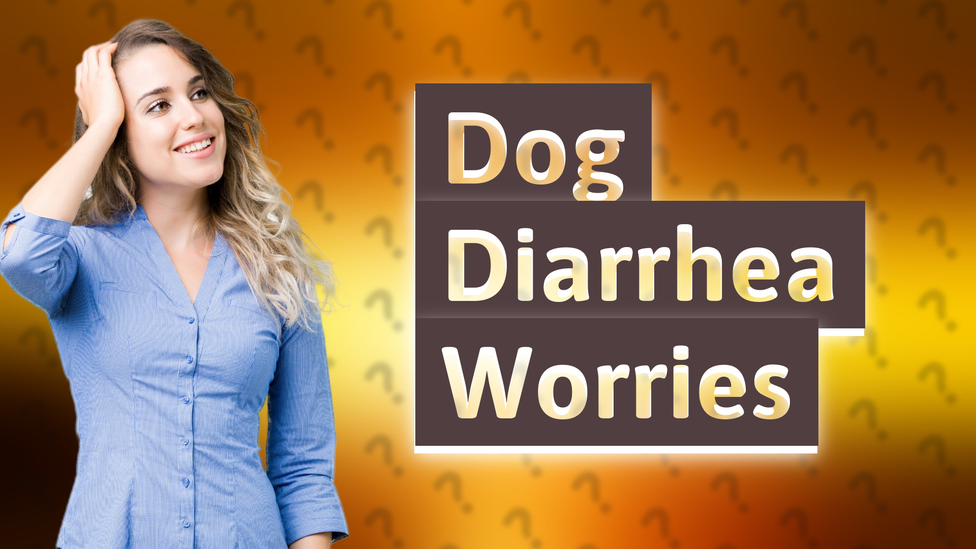 Dog Diarrhea Worries