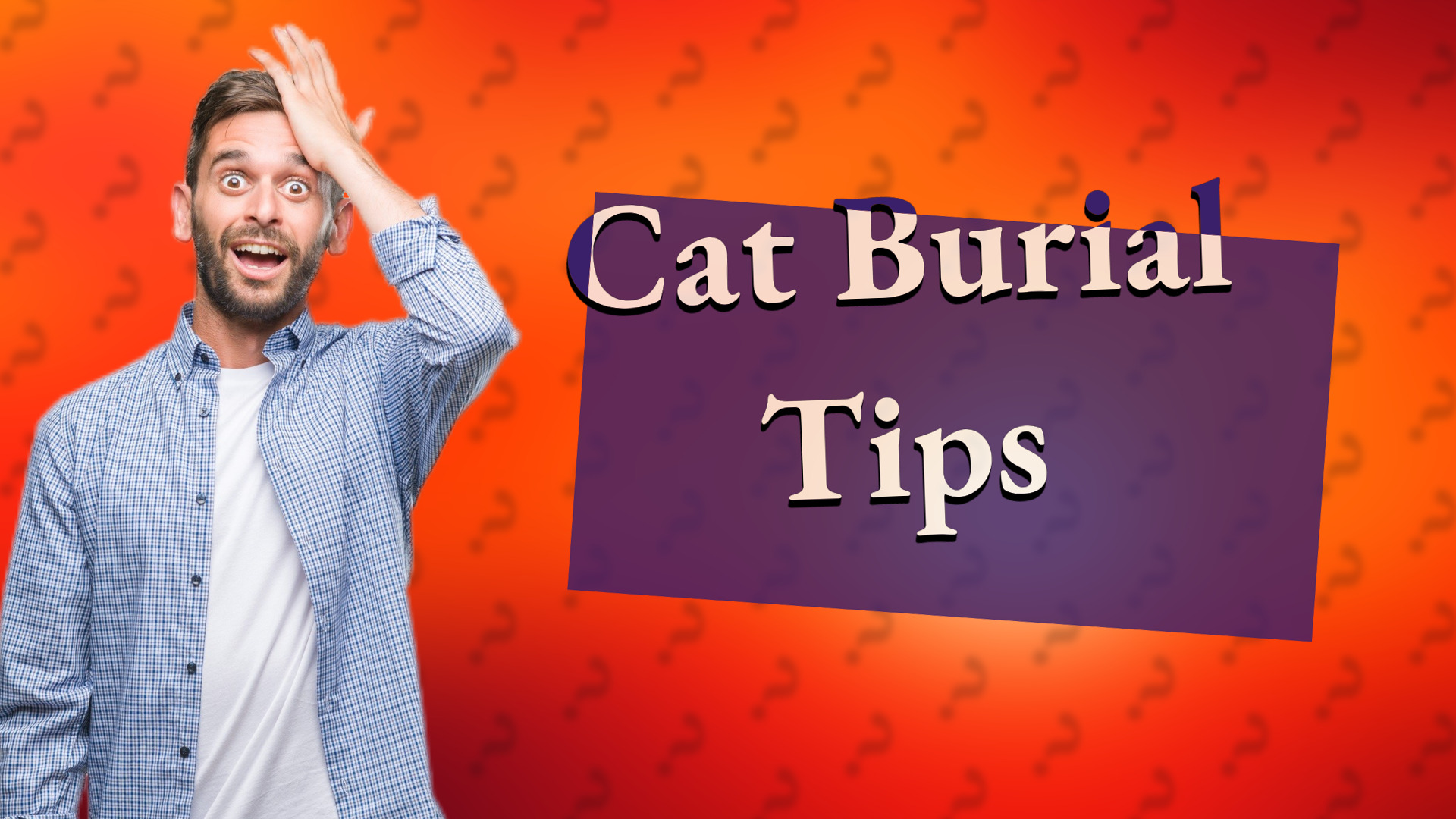 Cat Burial Tips