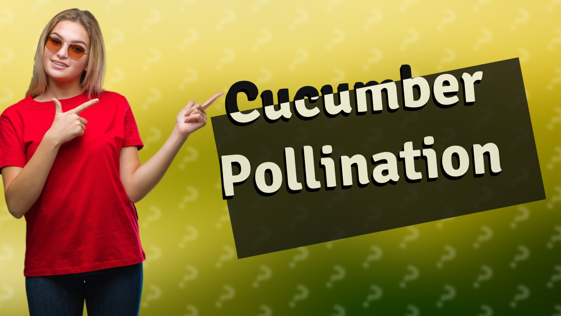 Cucumber Pollination