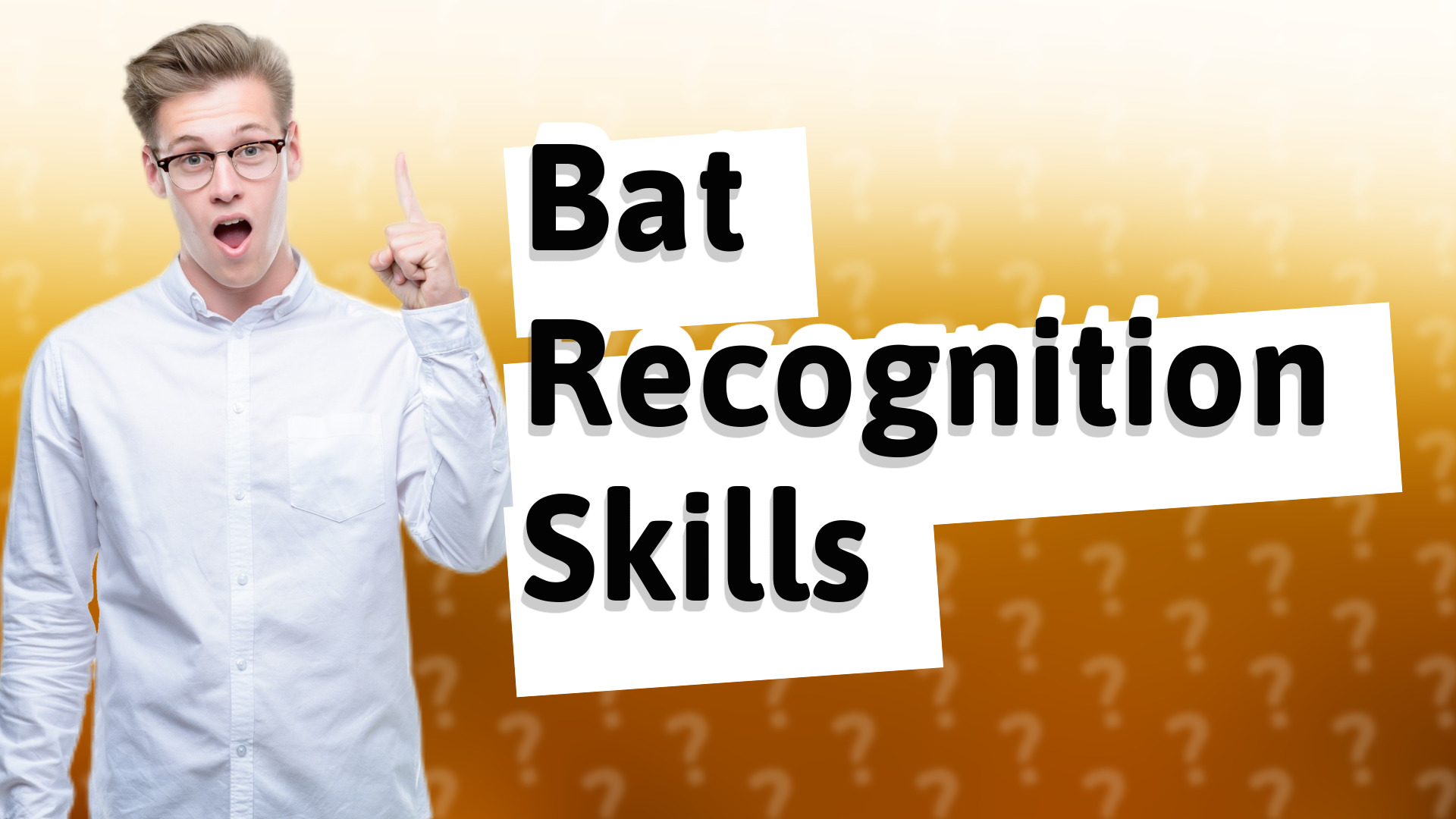 Bat Recognition Skills
