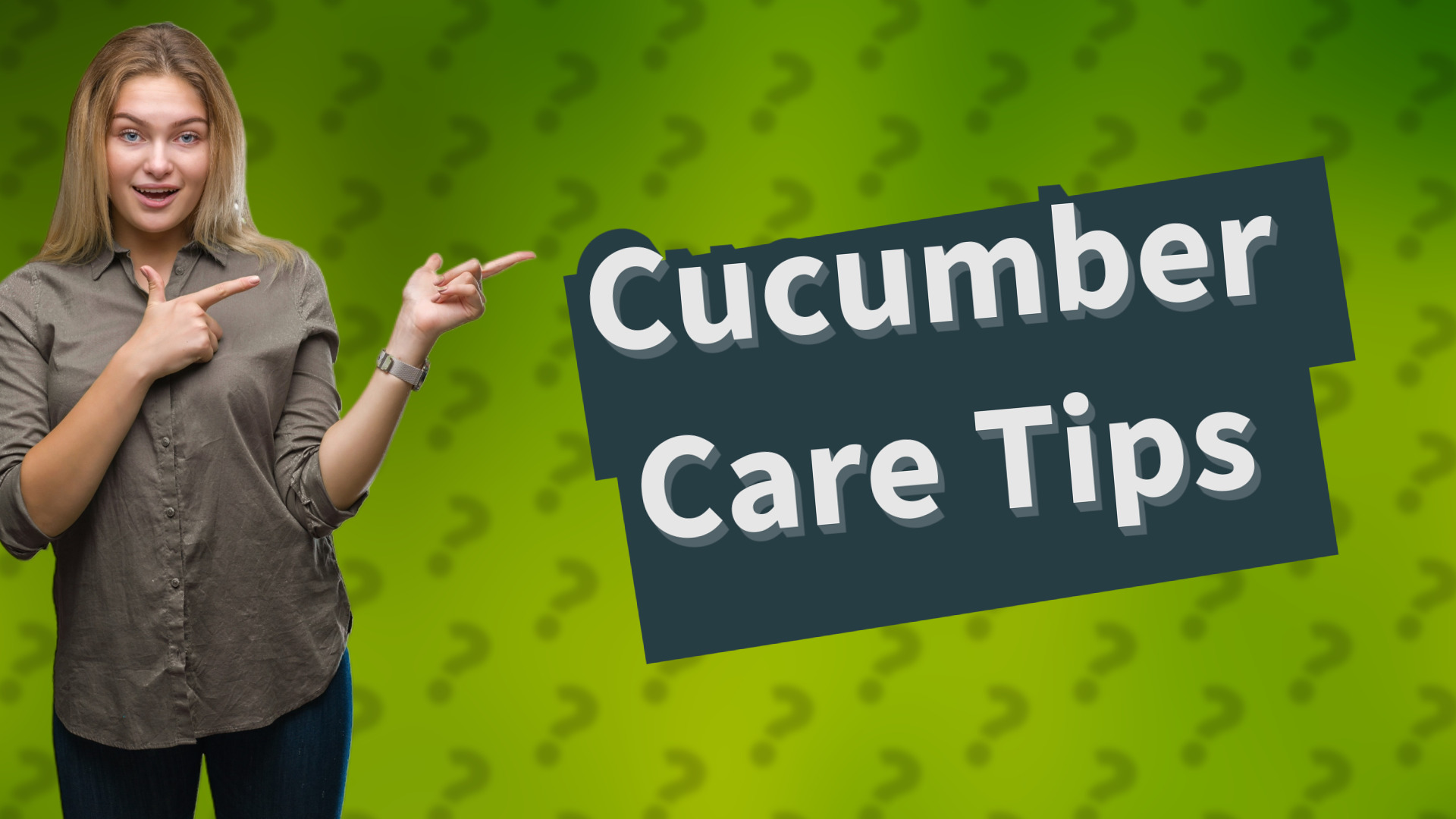 Cucumber Care Tips