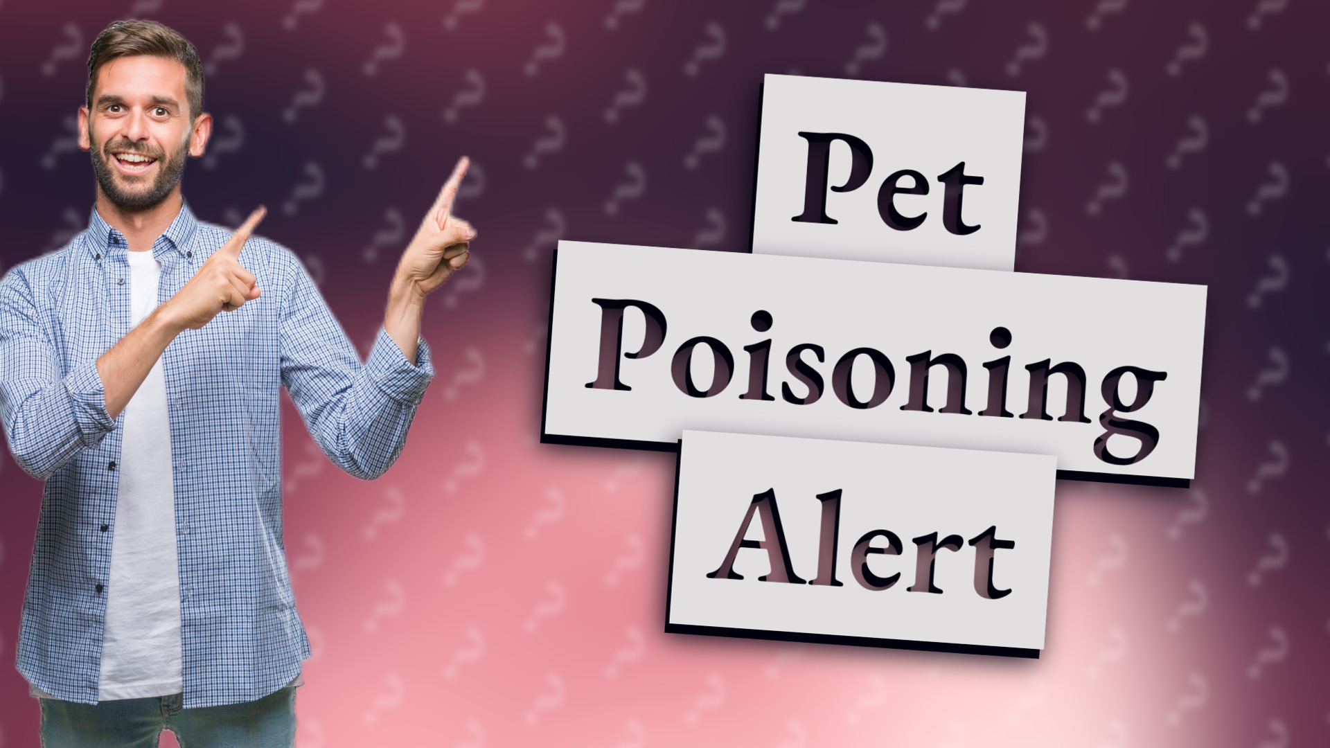 Pet Poisoning Alert