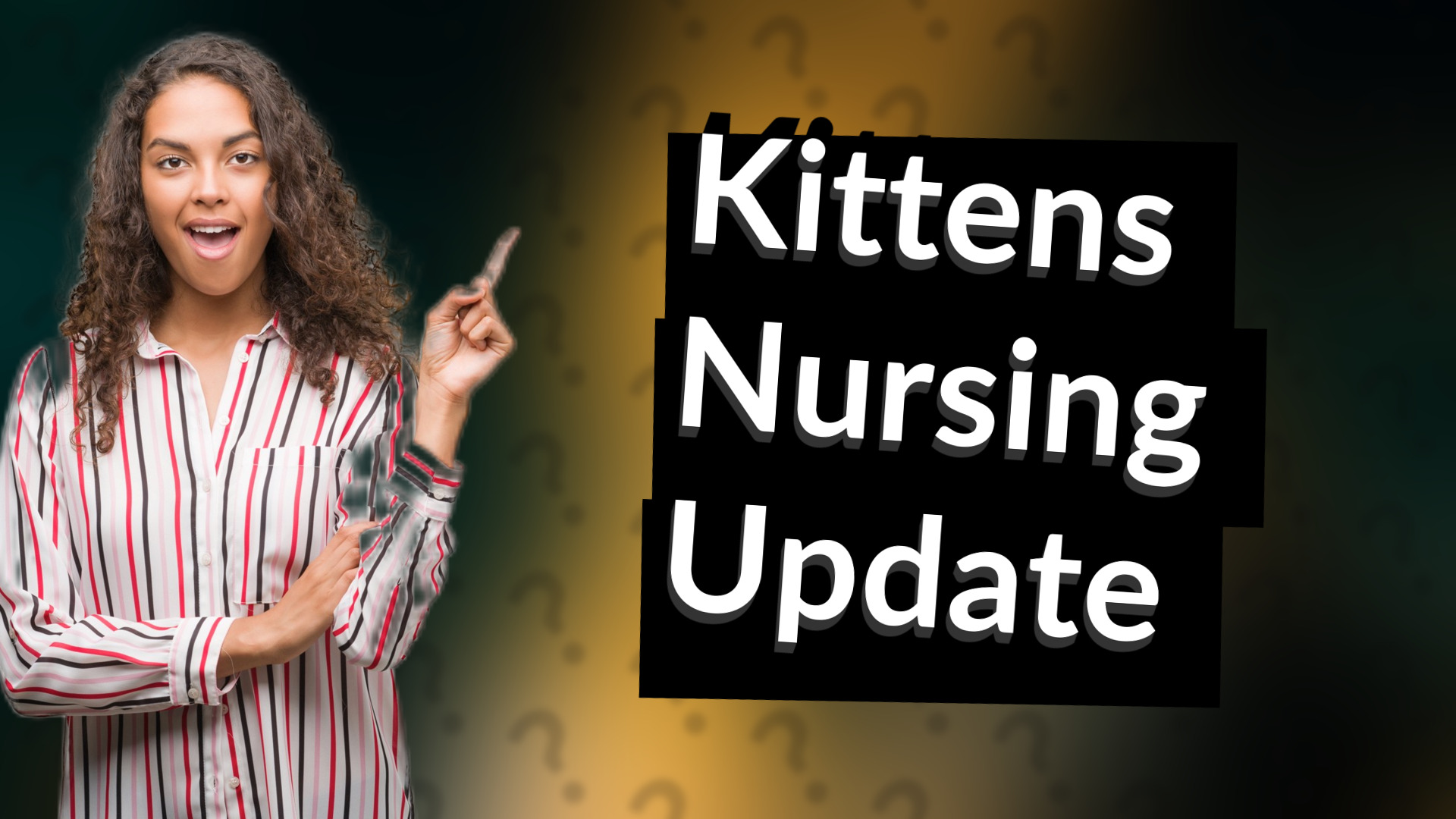 Kittens Nursing Update