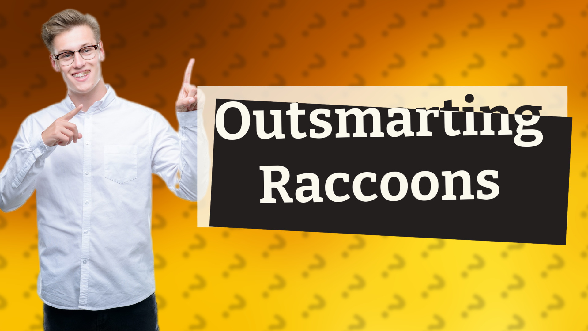 Outsmarting Raccoons