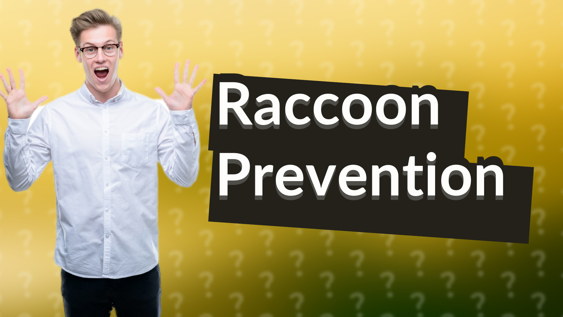 Raccoon Prevention