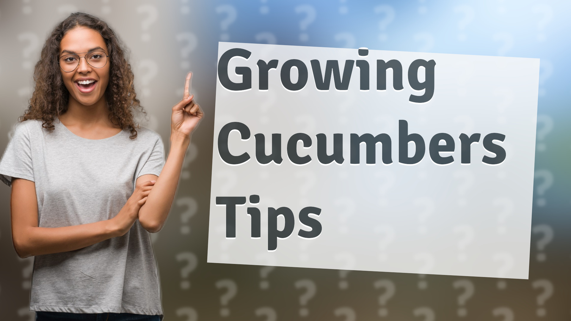 Growing Cucumbers Tips