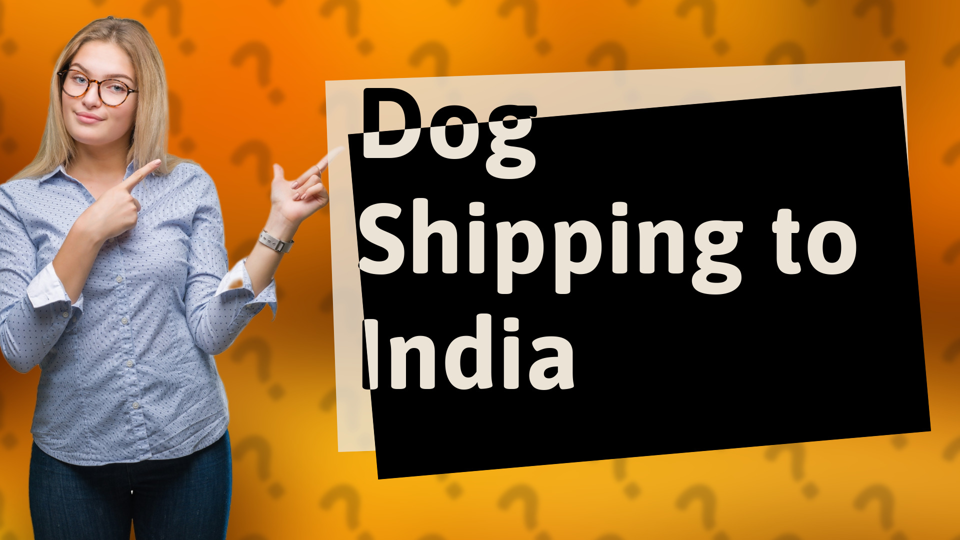Dog Shipping to India