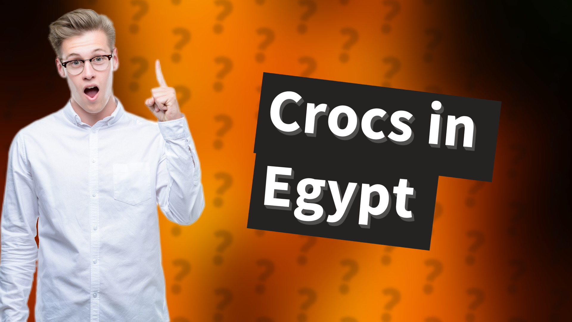 Crocs in Egypt