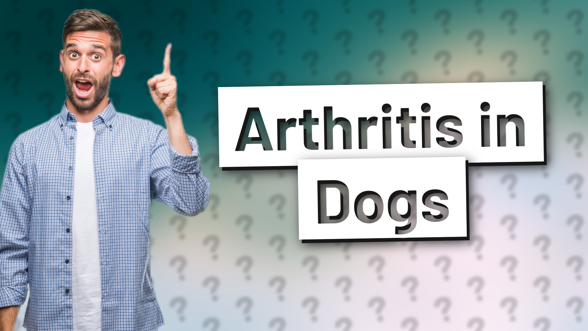 Arthritis in Dogs