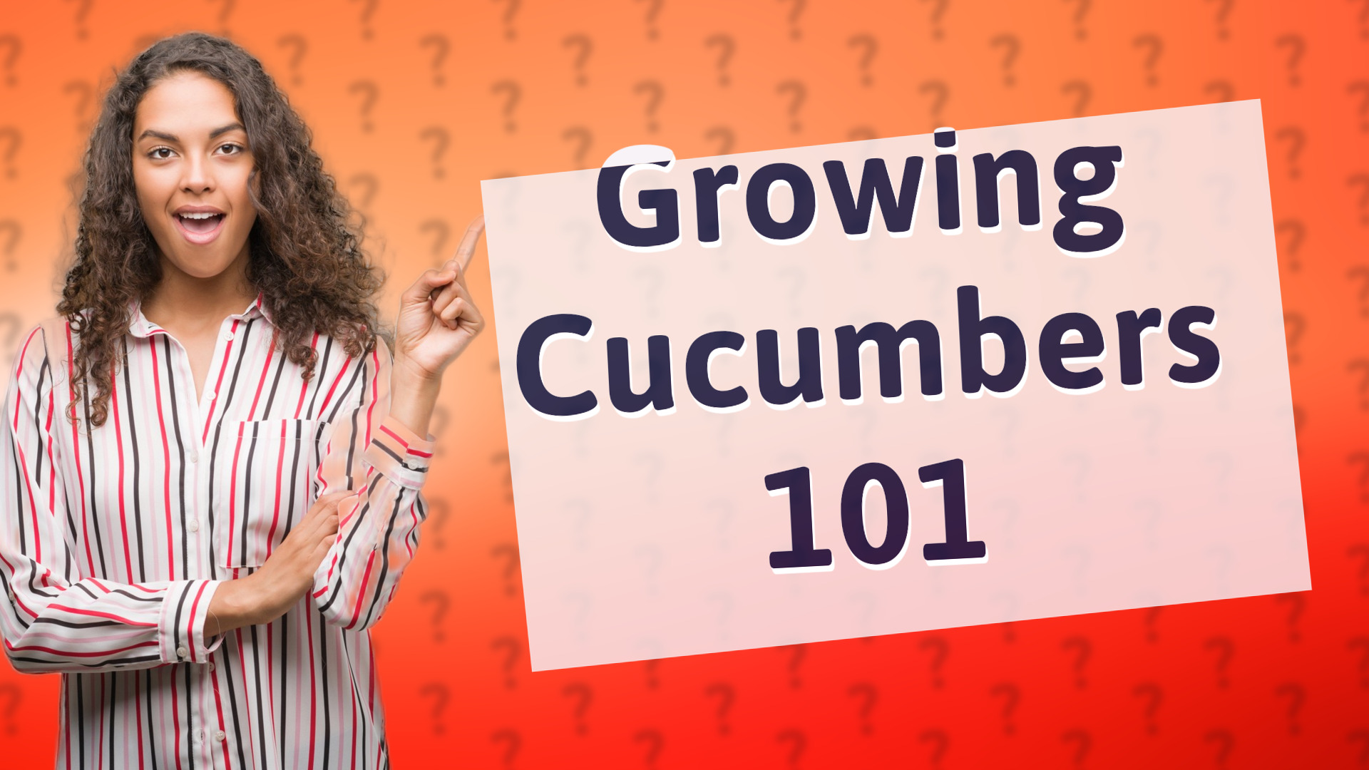 Growing Cucumbers 101