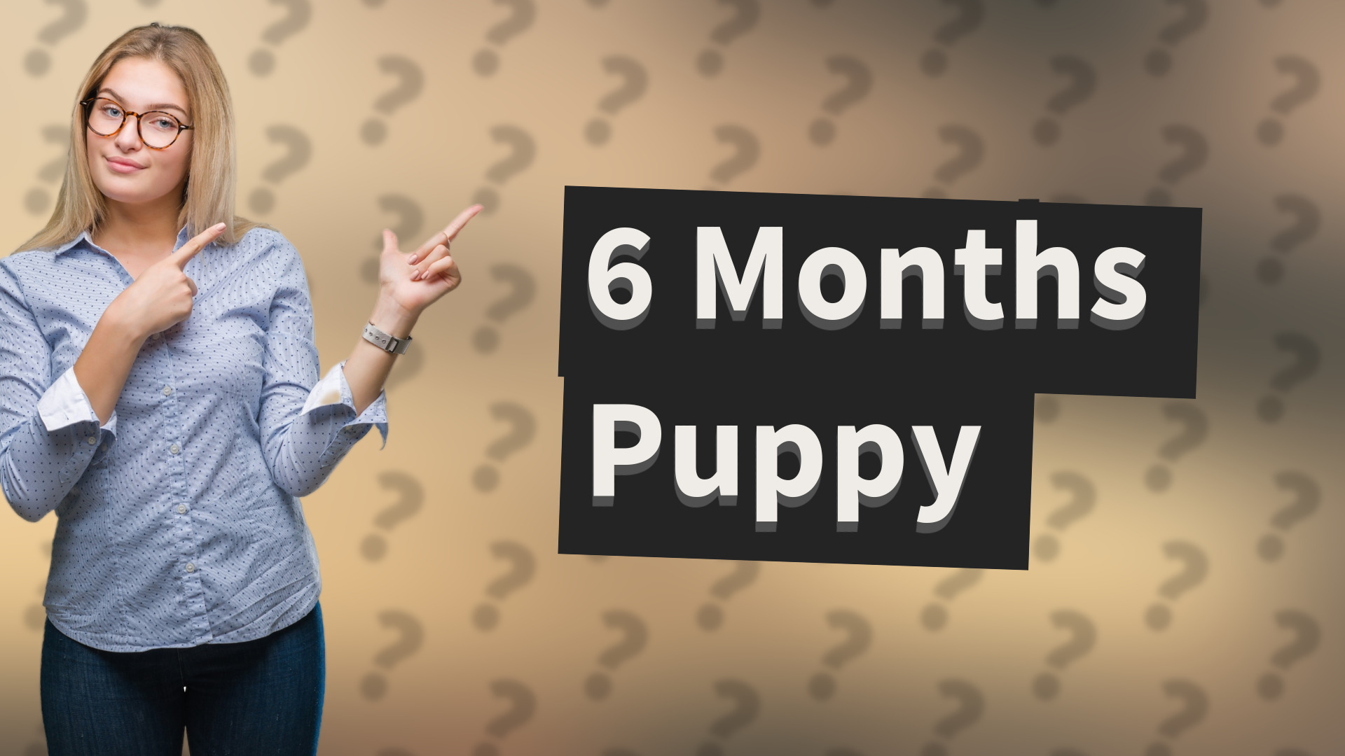 6 Months Puppy