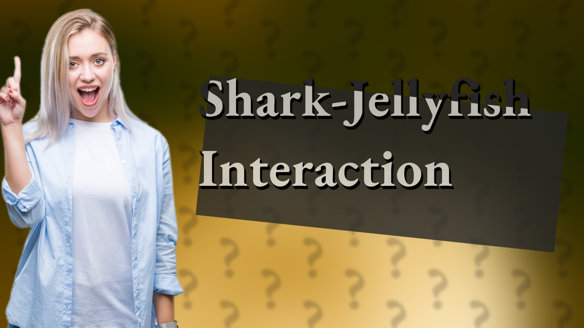 Shark-Jellyfish Interaction