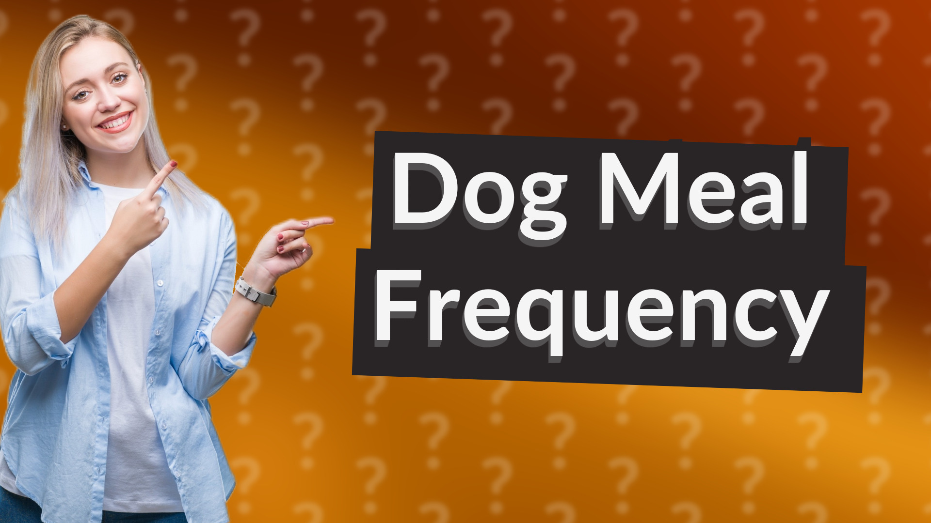 Dog Meal Frequency
