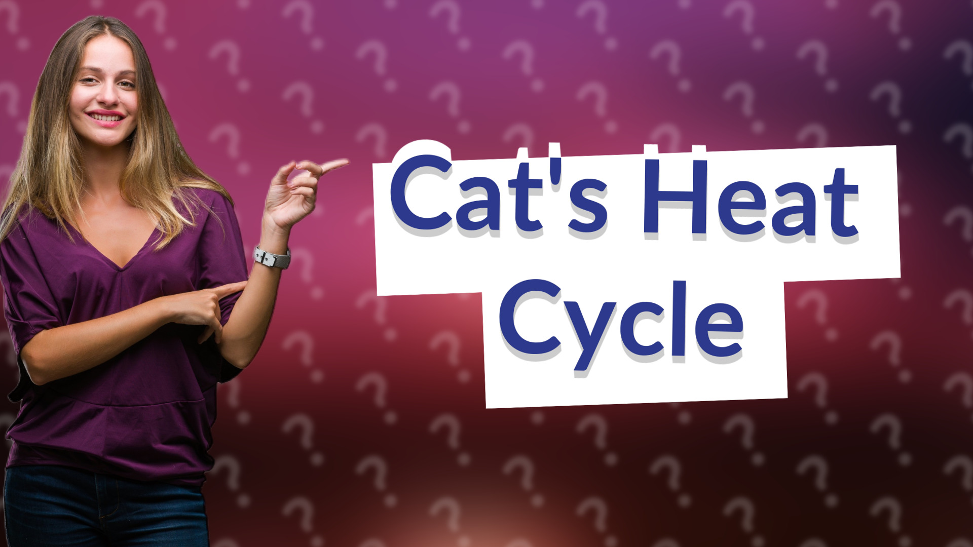 Cat's Heat Cycle