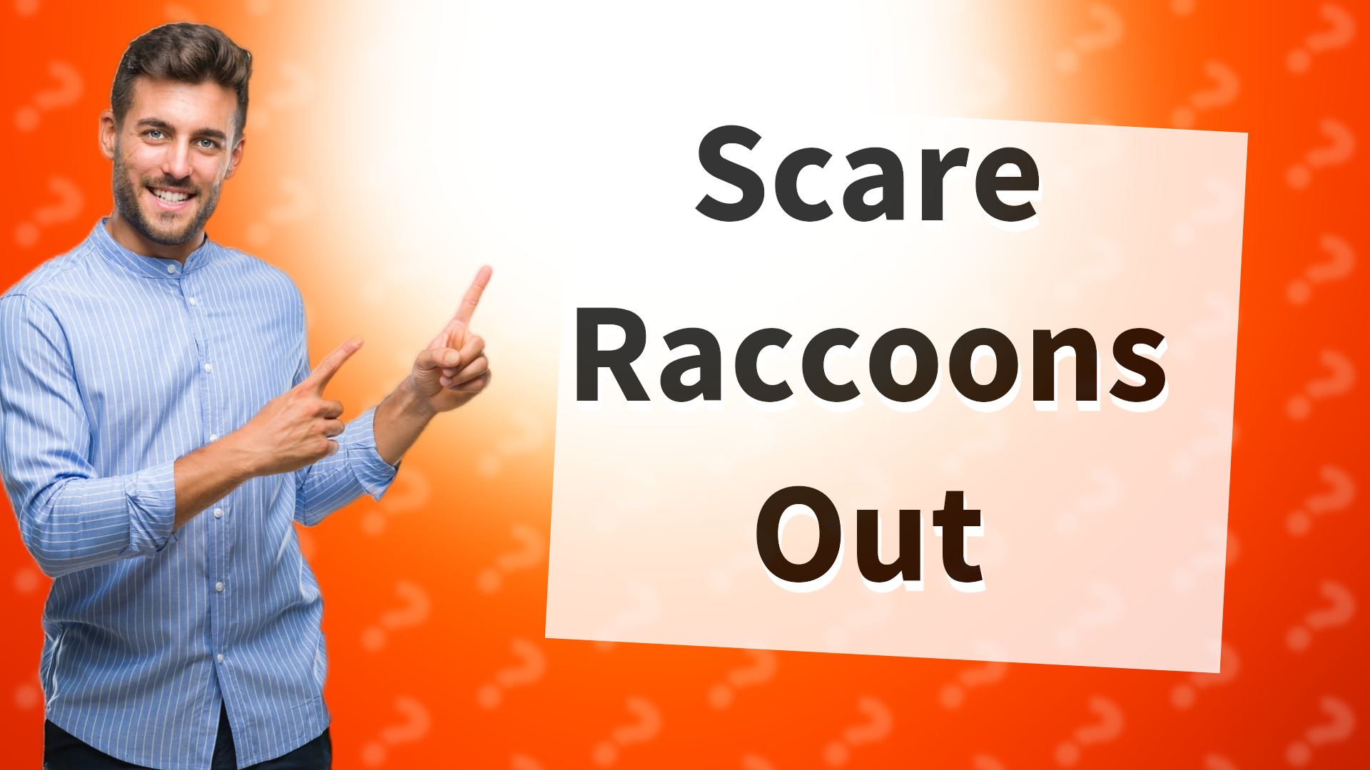 Scare Raccoons Out