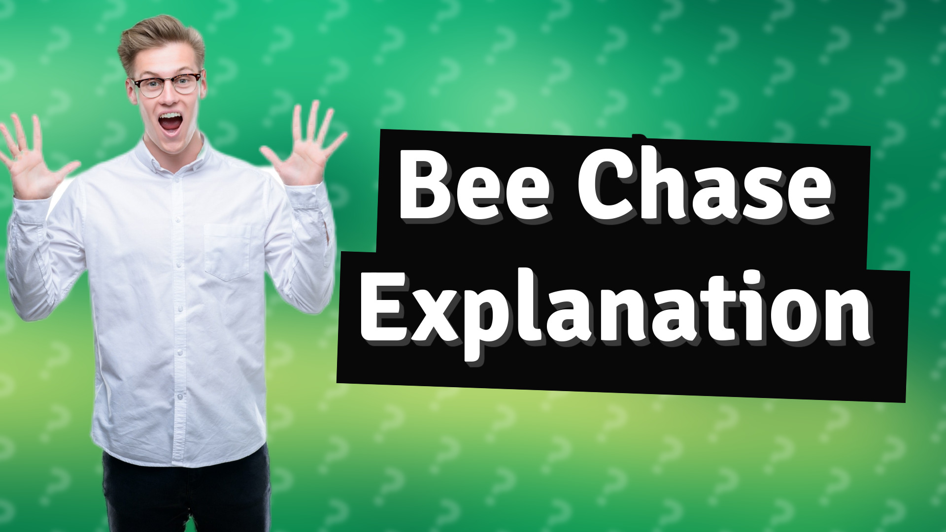 Bee Chase Explanation
