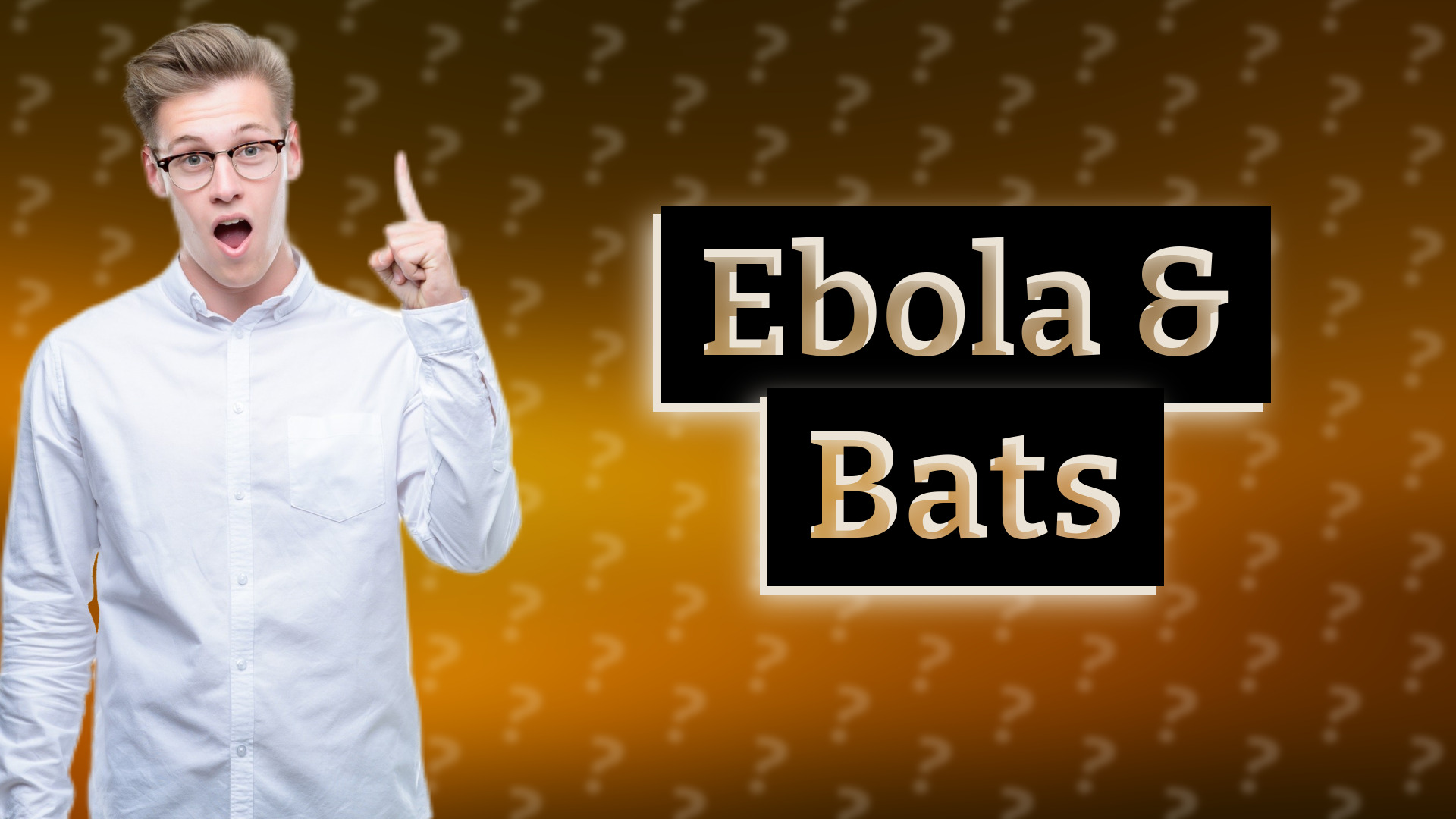 Ebola & Bats