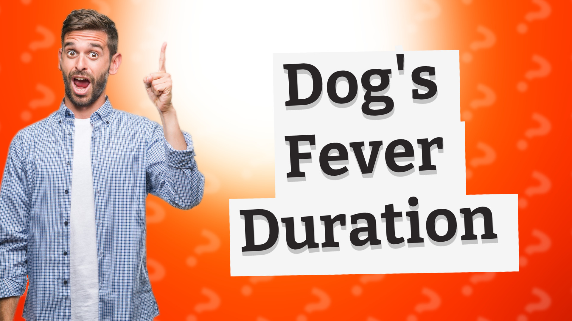 Dog's Fever Duration