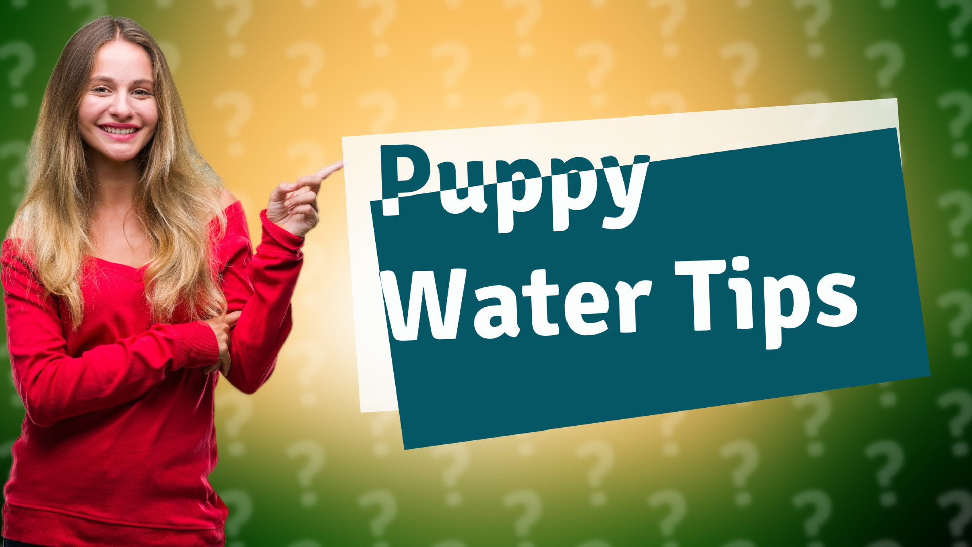 Puppy Water Tips