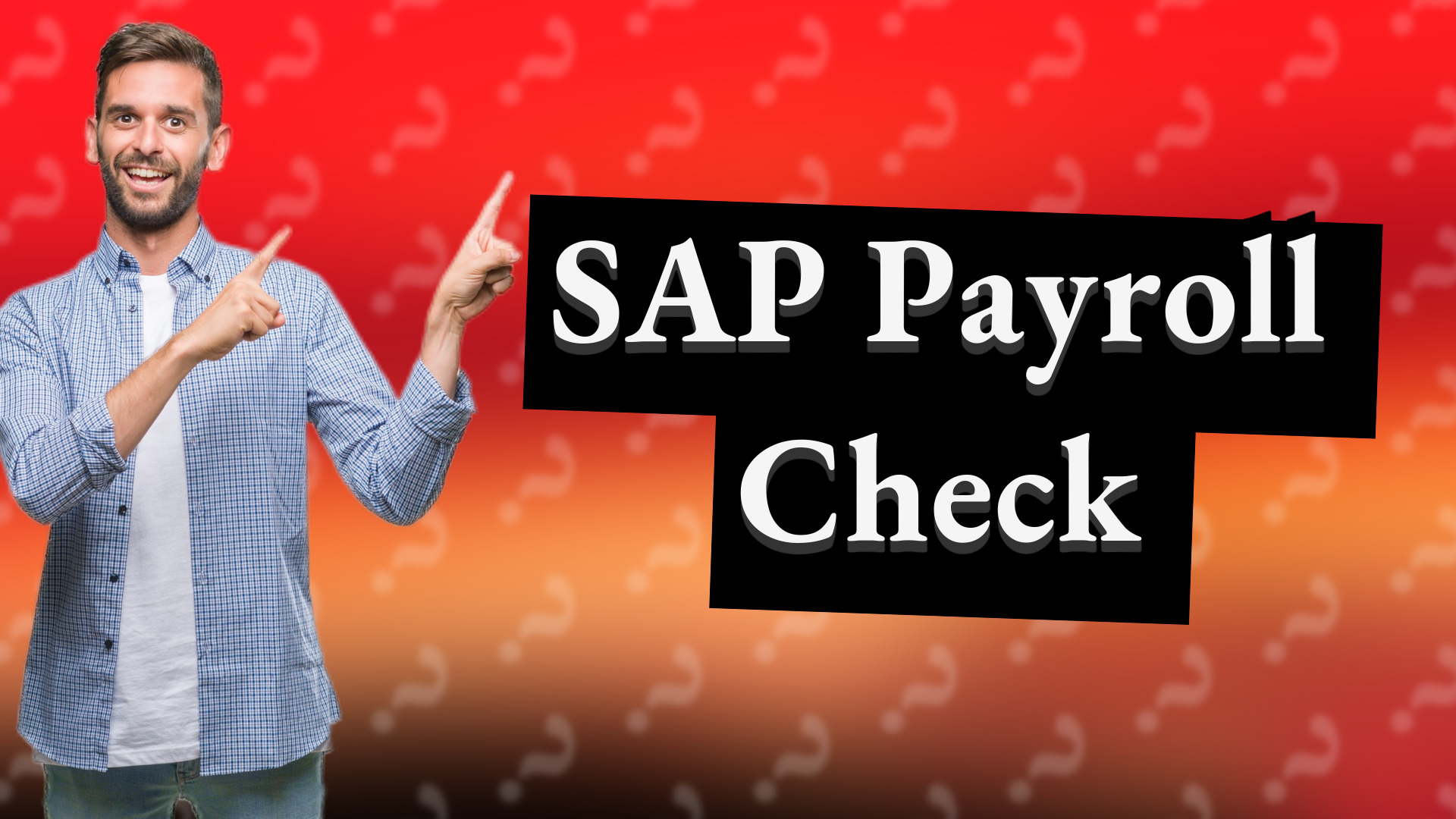 SAP Payroll Check