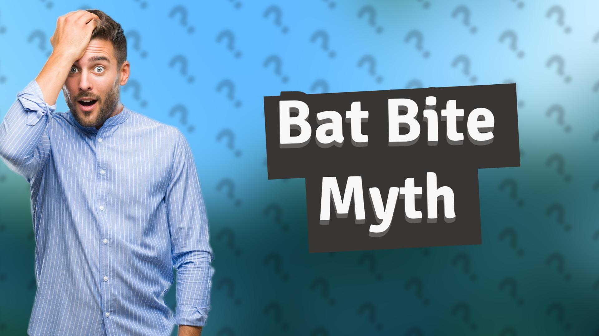 Bat Bite Myth