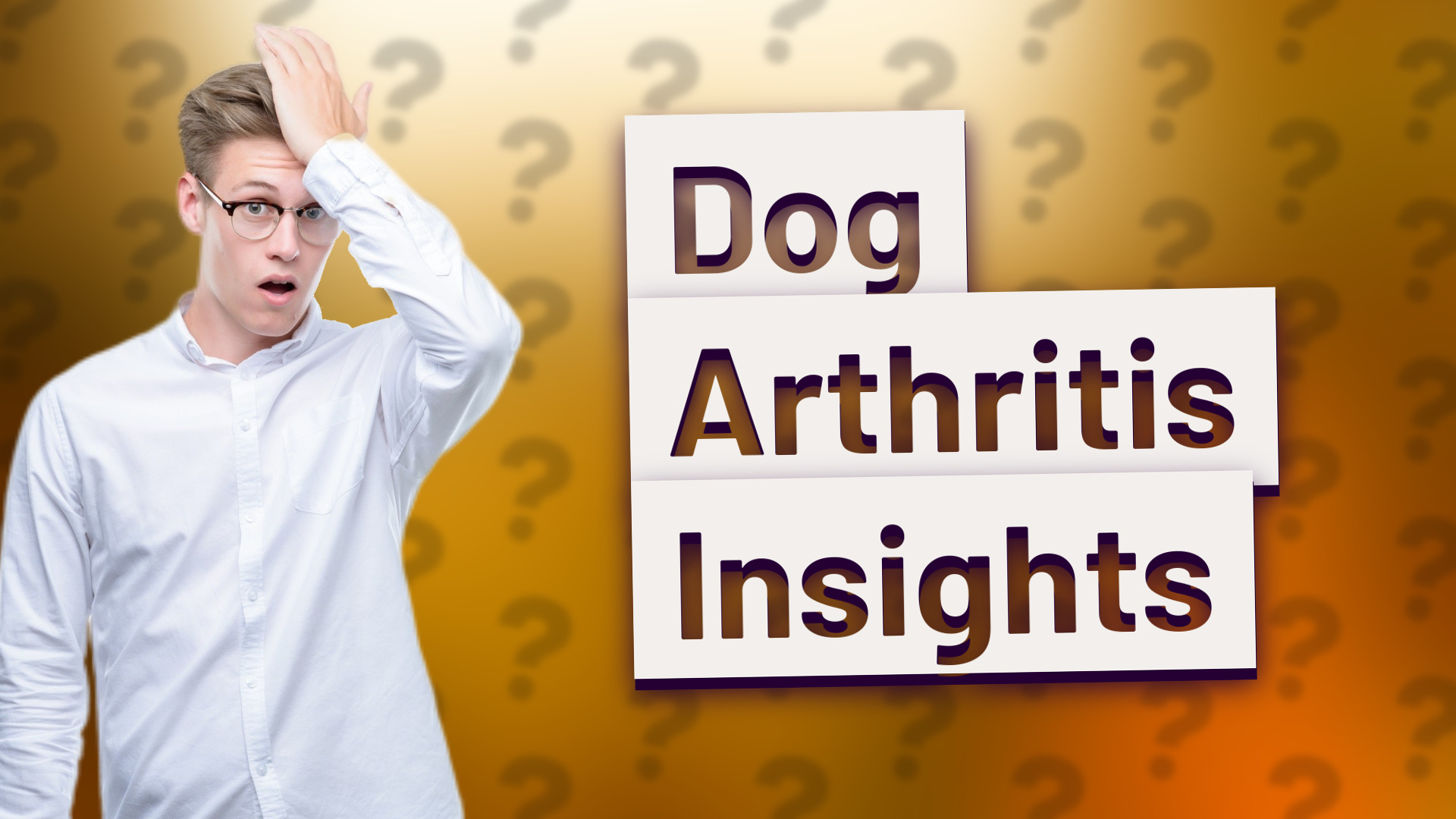 Dog Arthritis Insights