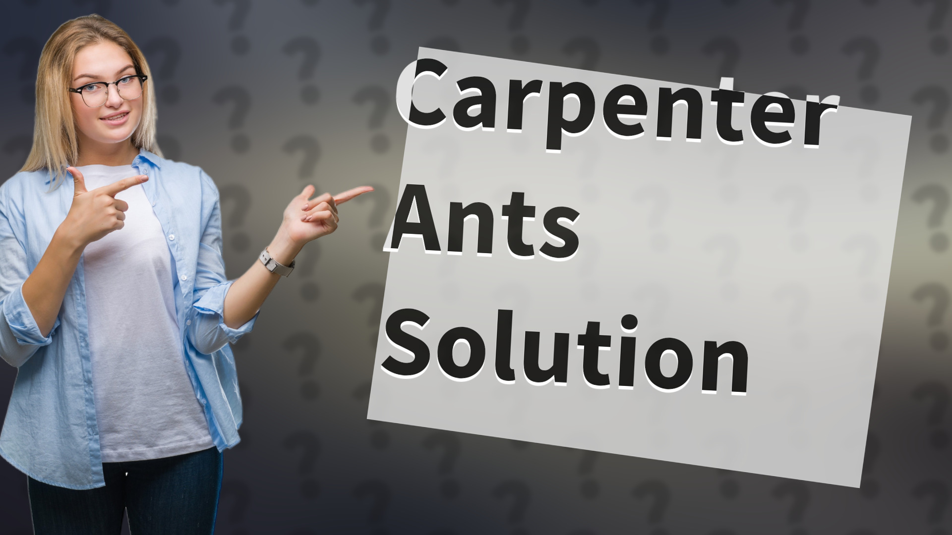Carpenter Ants Solution
