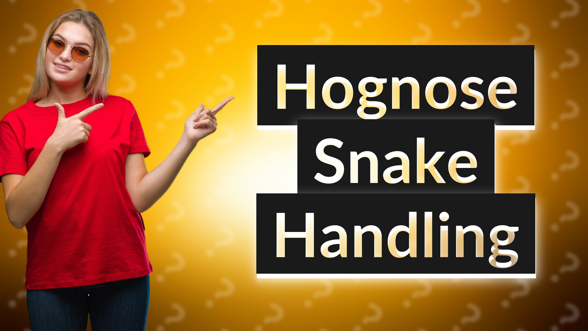 Hognose Snake Handling