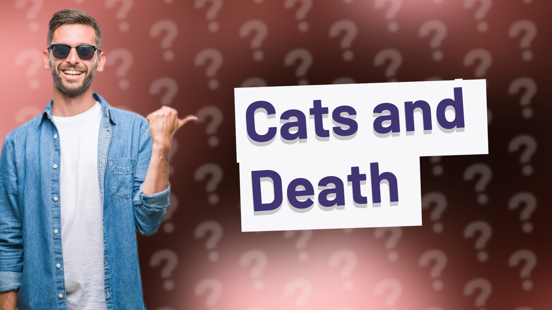 Cats and Death