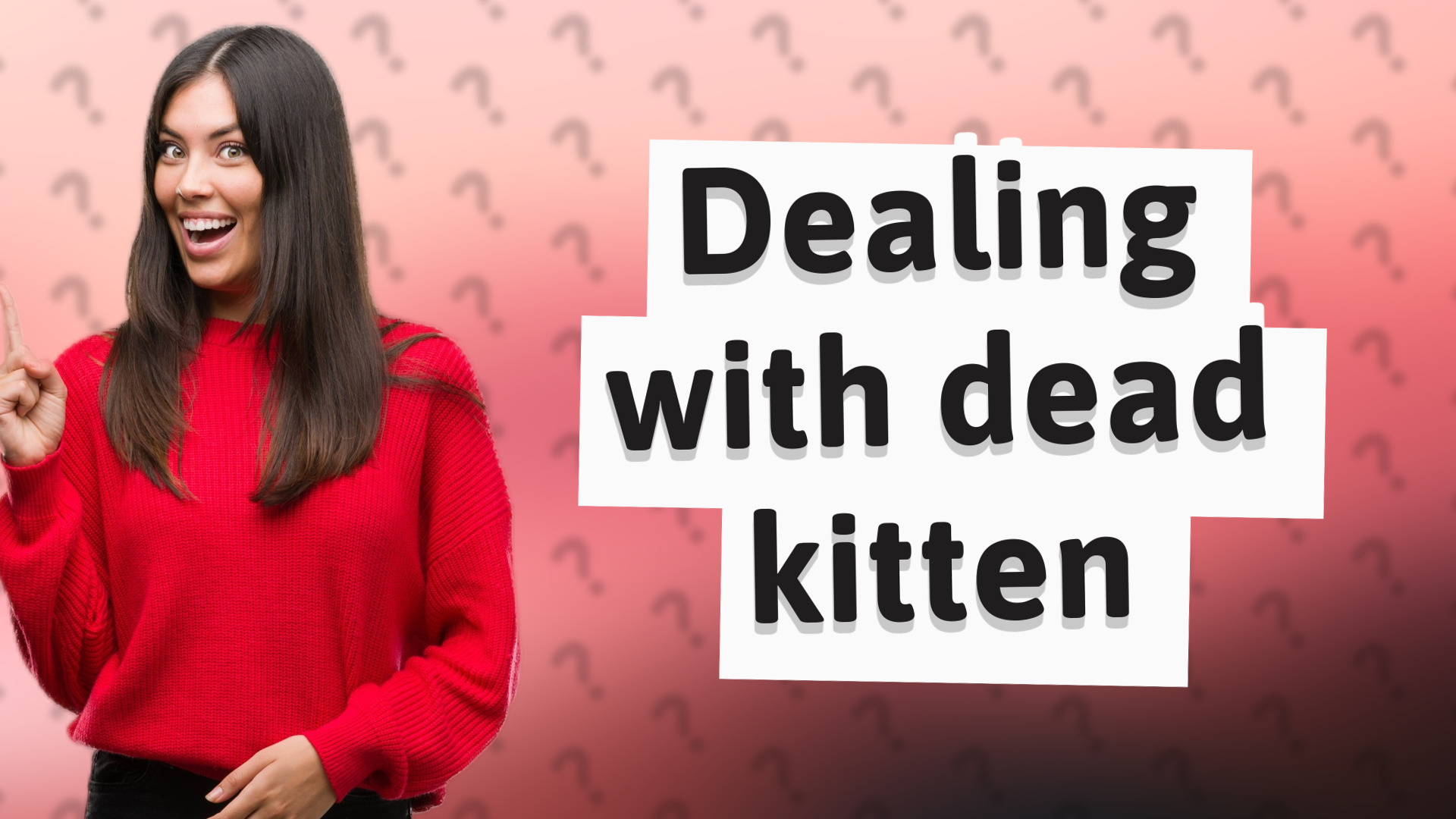 Dealing with dead kitten