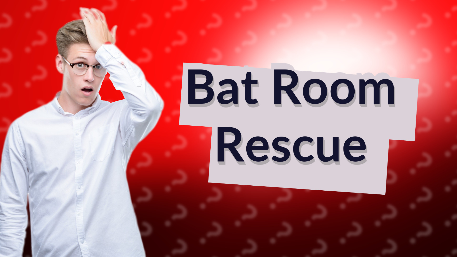 Bat Room Rescue