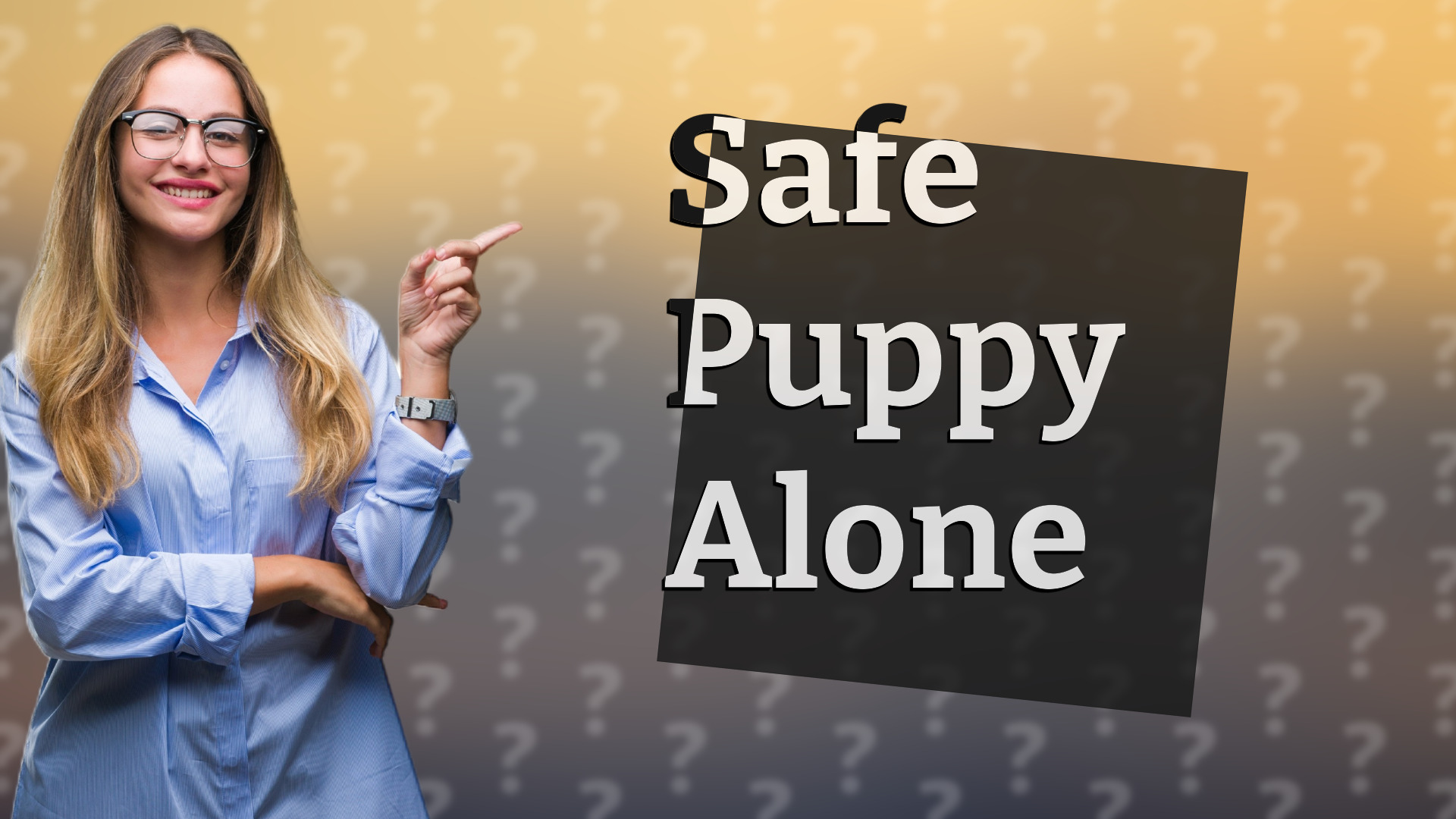 Safe Puppy Alone
