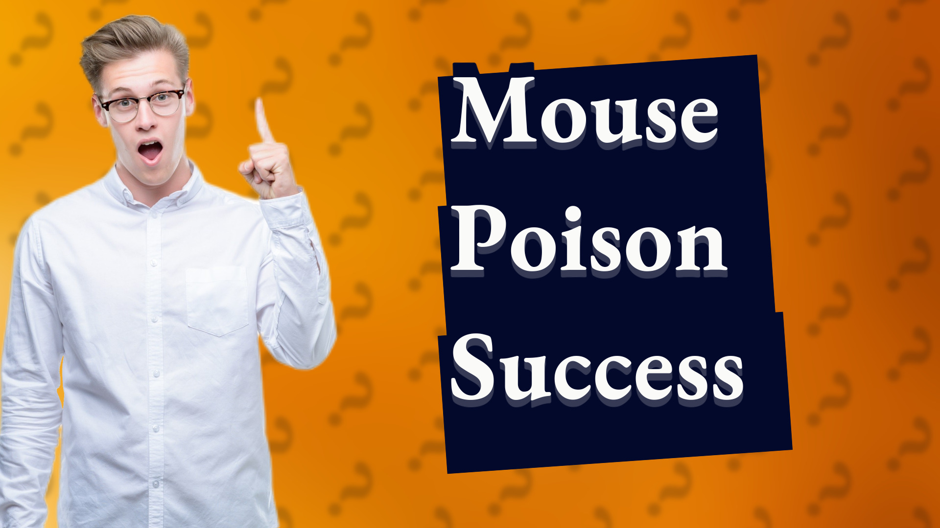 Mouse Poison Success