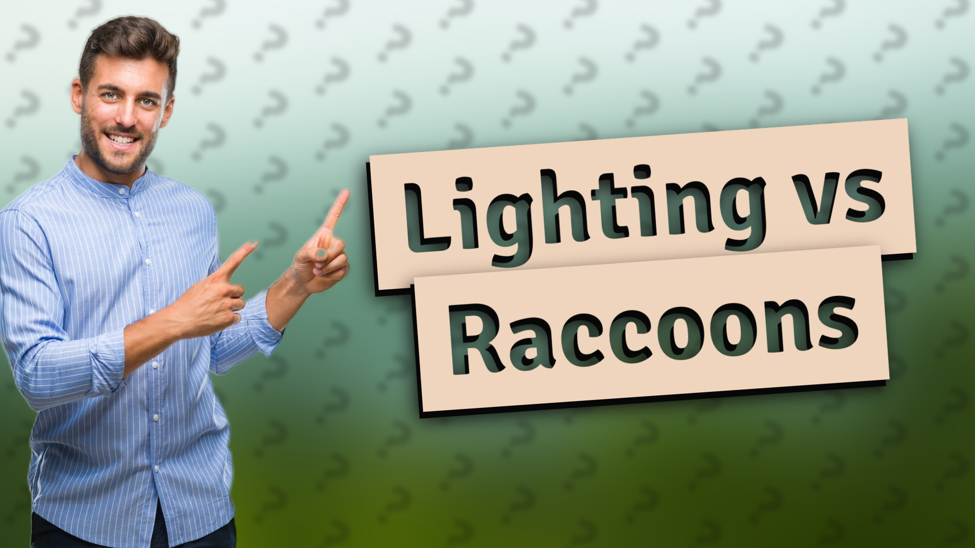 Lighting vs Raccoons