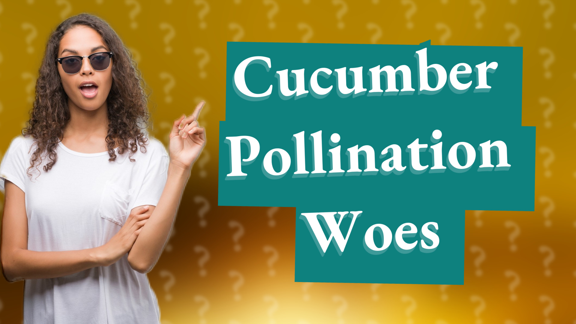 Cucumber Pollination Woes