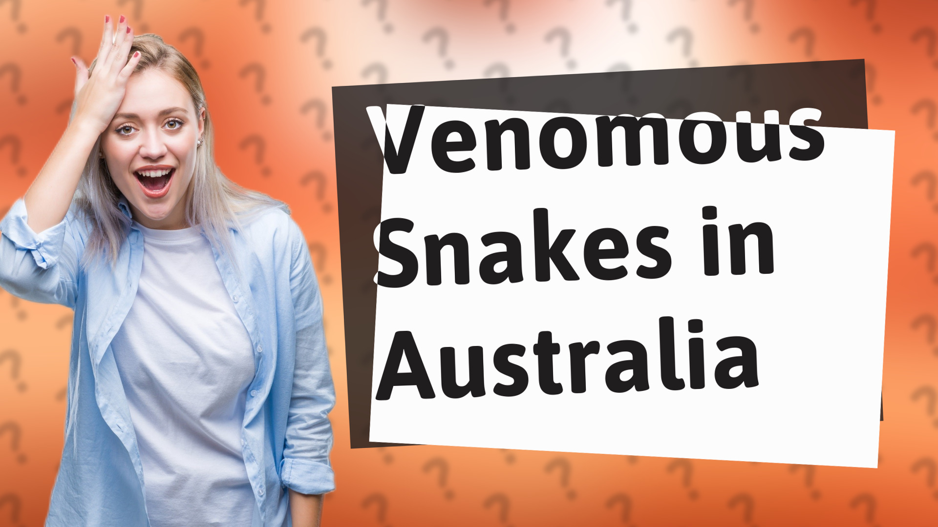 Venomous Snakes in Australia