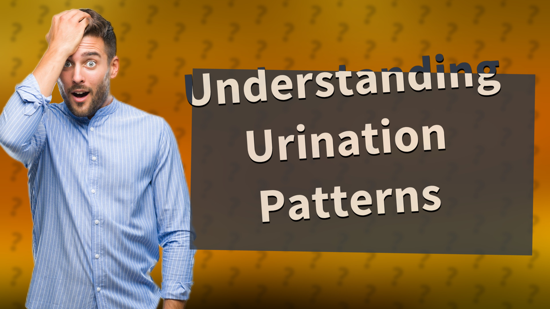Understanding Urination Patterns
