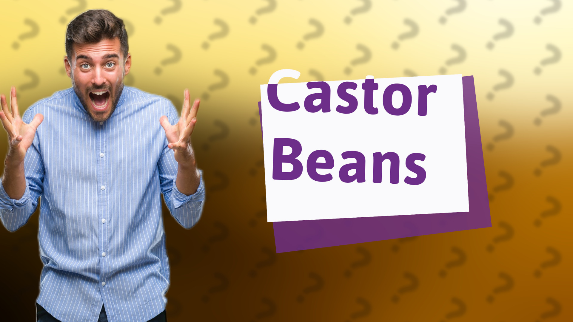 Castor Beans