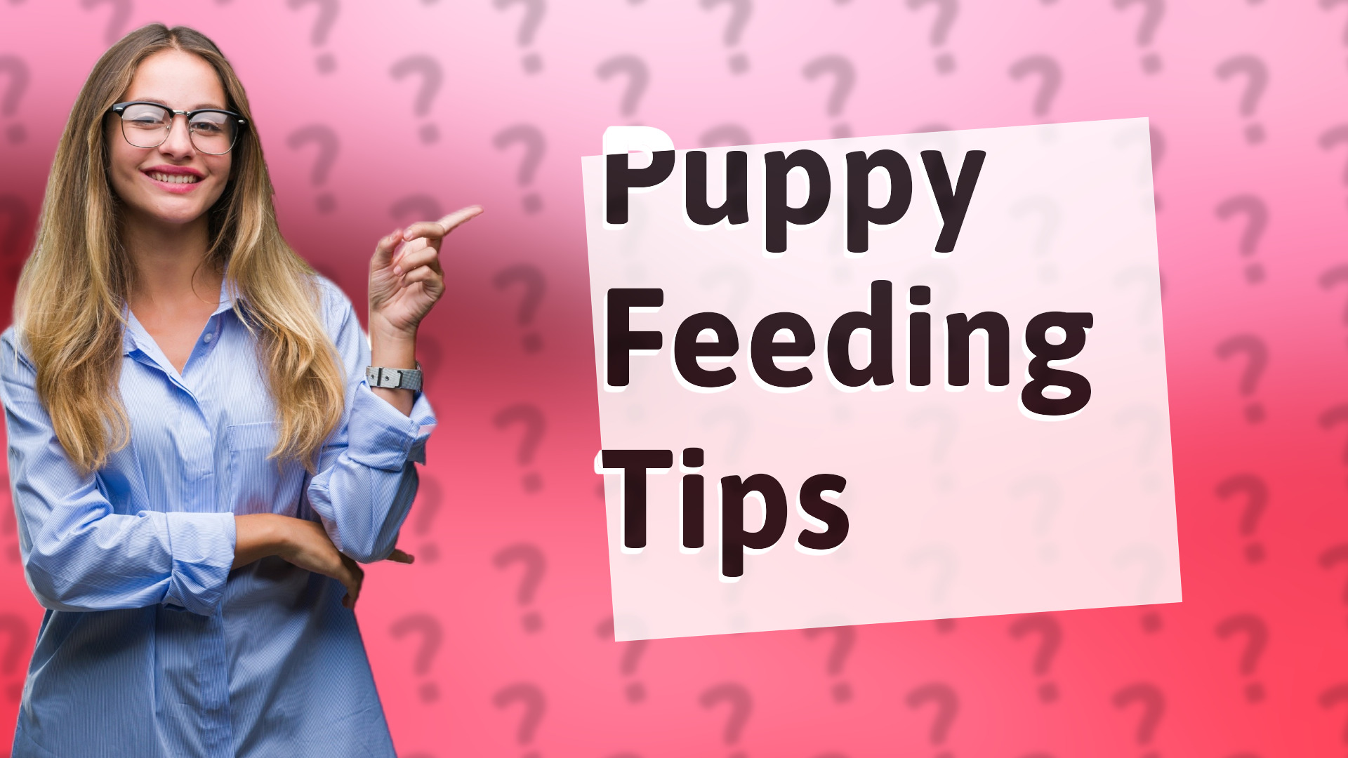 Puppy Feeding Tips