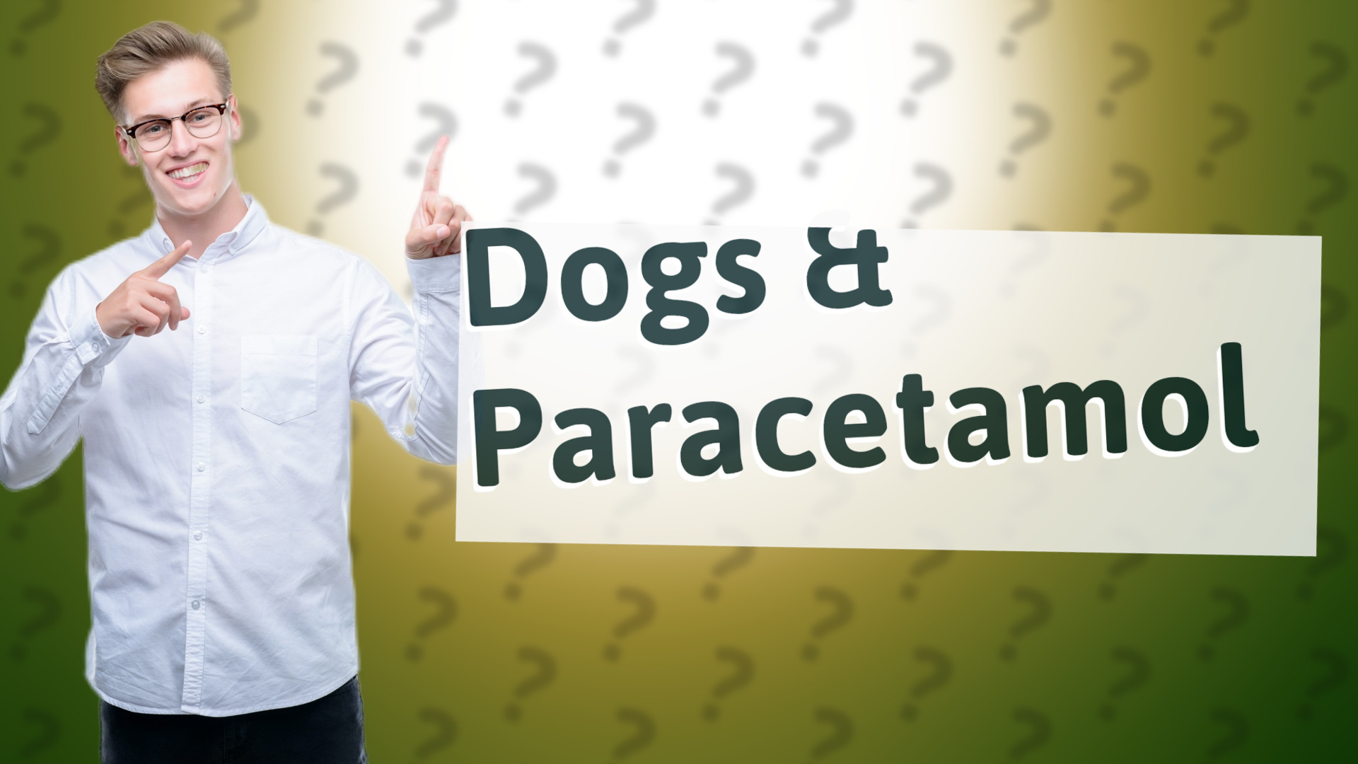 Dogs & Paracetamol