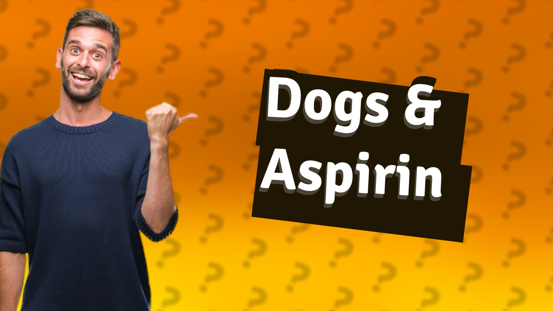 Dogs & Aspirin