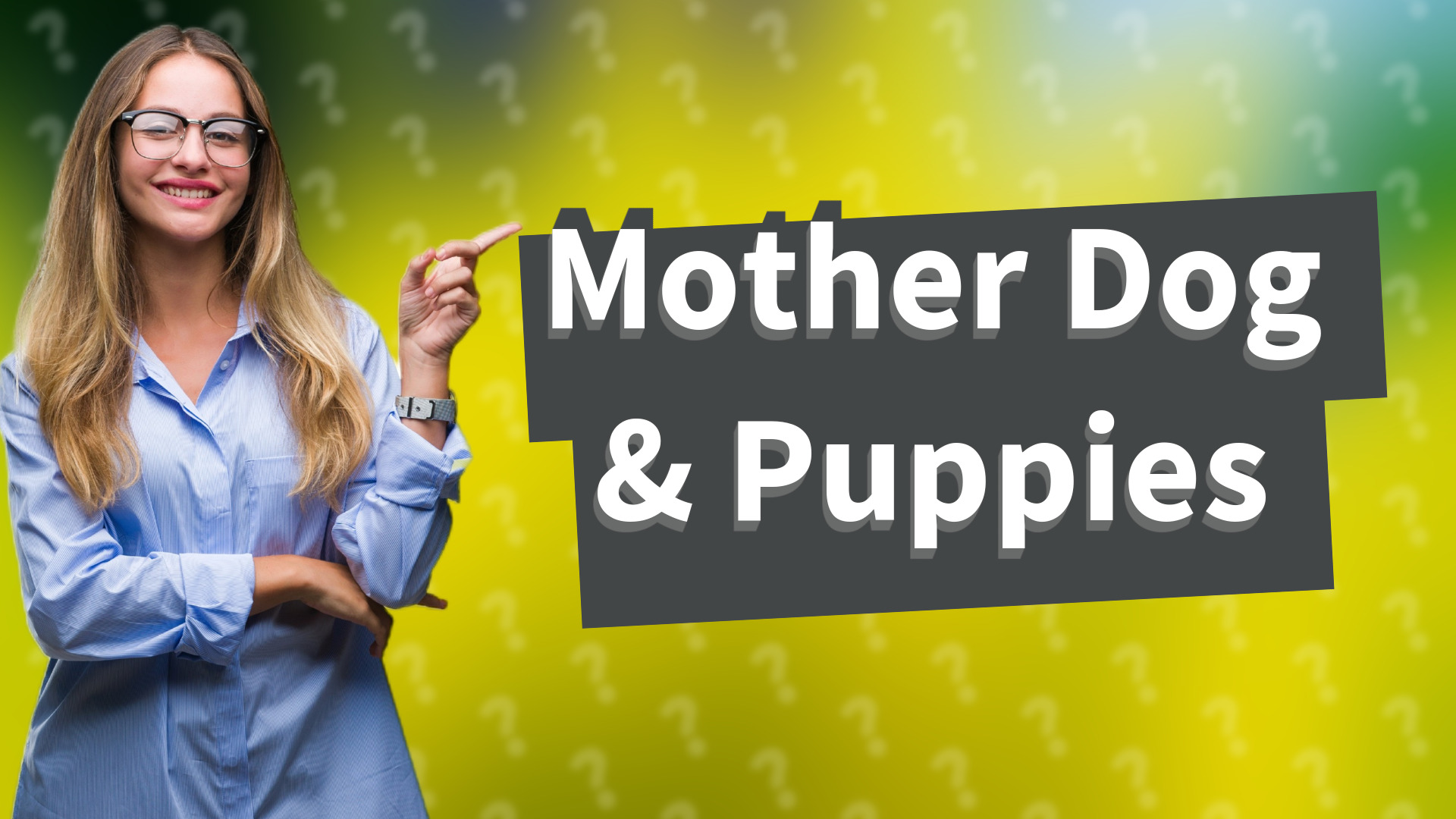 Mother Dog & Puppies