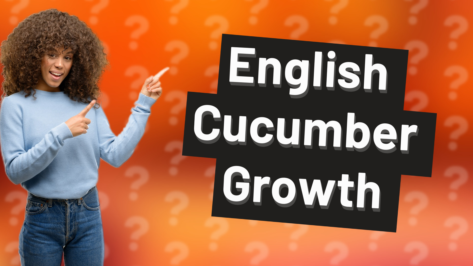 English Cucumber Growth