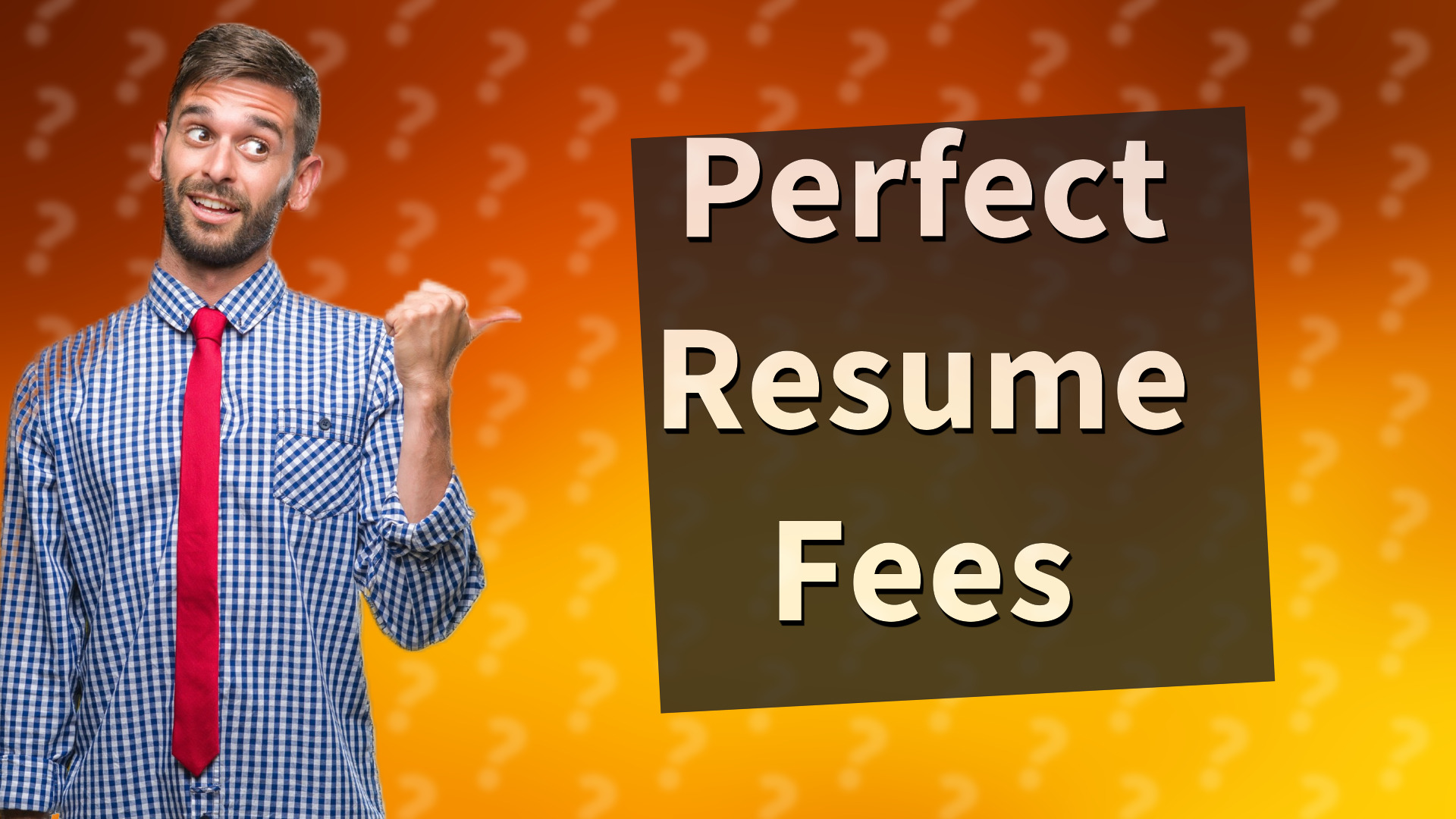 Perfect Resume Fees